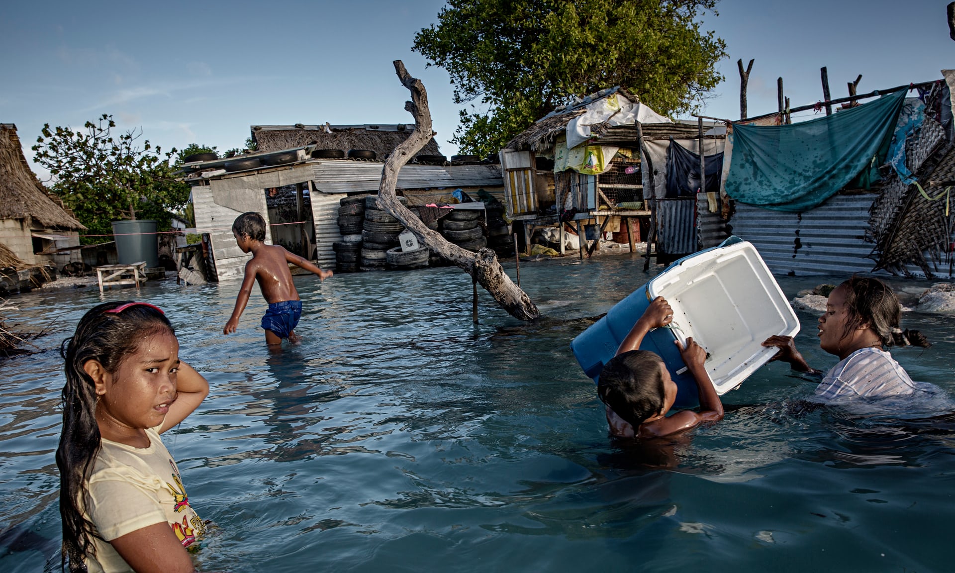 cop23