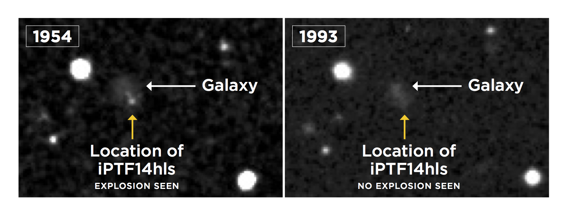 iptf14hls_diptych_lco