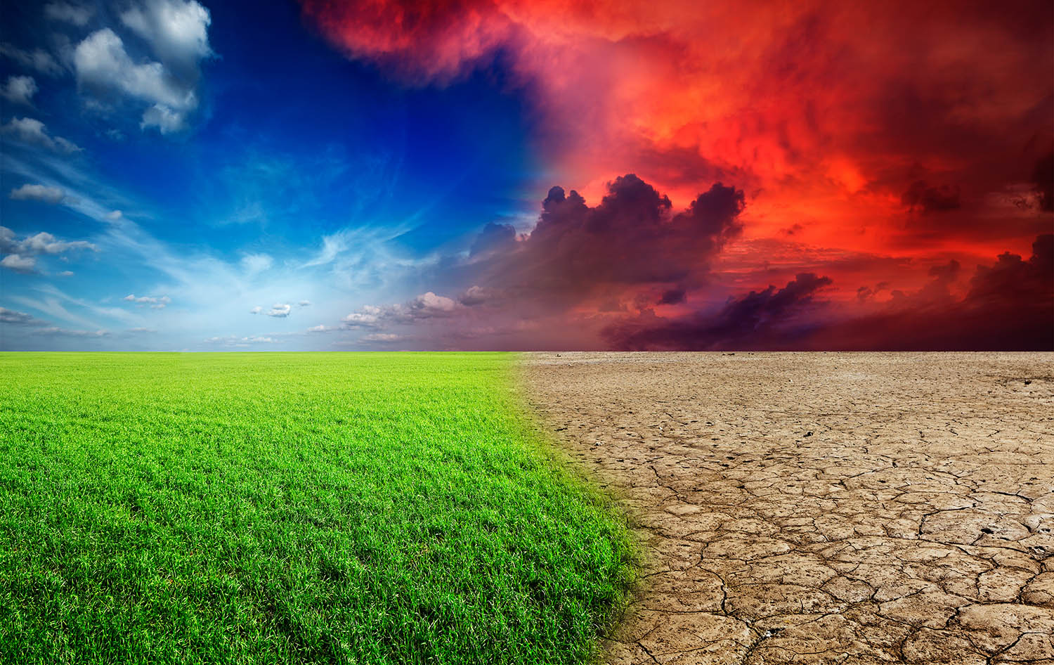 landind-page shutterstock_95405056