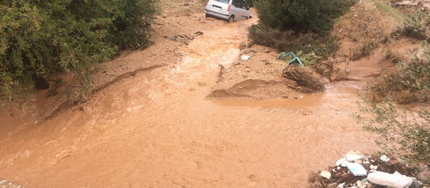 mandra77