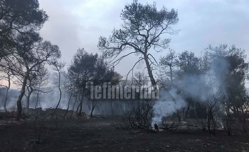 Συγκλονίζουν οι εικόνες: «Κρανίου τόπος» η επόμενη ημέρα στο Μάτι