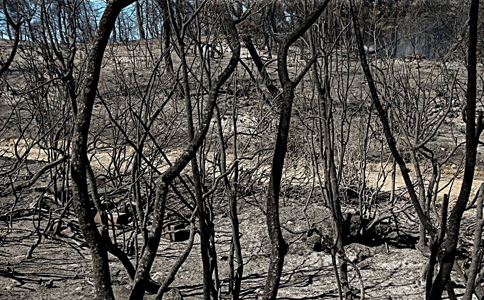 Φωτιά τώρα: 12.000 στρέμματα δασικής έκτασης έγιναν στάχτη στην Εύβοια