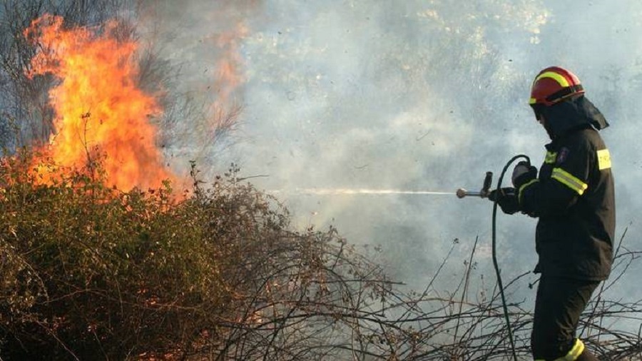 ΦΩΤΙΑ ΤΩΡΑ: Πυρκαγιά σε δασική έκταση στην Κέρκυρα