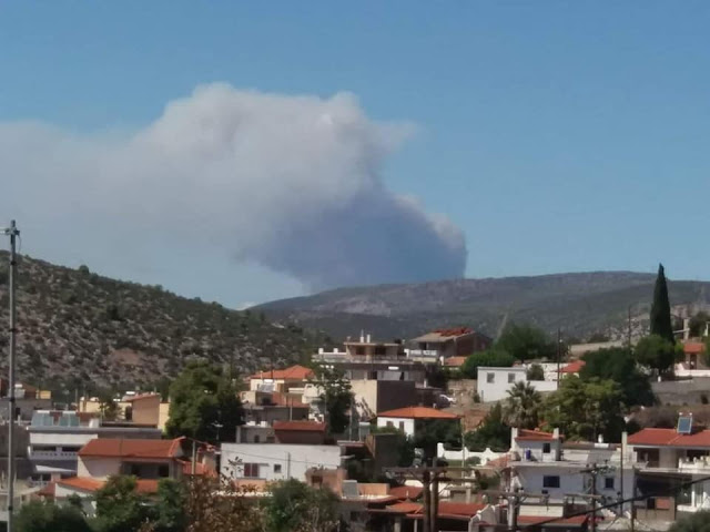 Φωτιά Εύβοια: Μαίνεται το πύρινο μέτωπο – Εκκενώθηκαν χωριά (pics&vid)