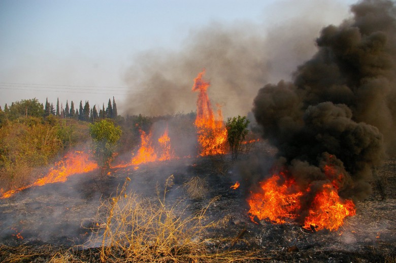 Μαίνεται η πυρκαγιά στη Μάνη – Τραυματίες δύο πυροσβέστες