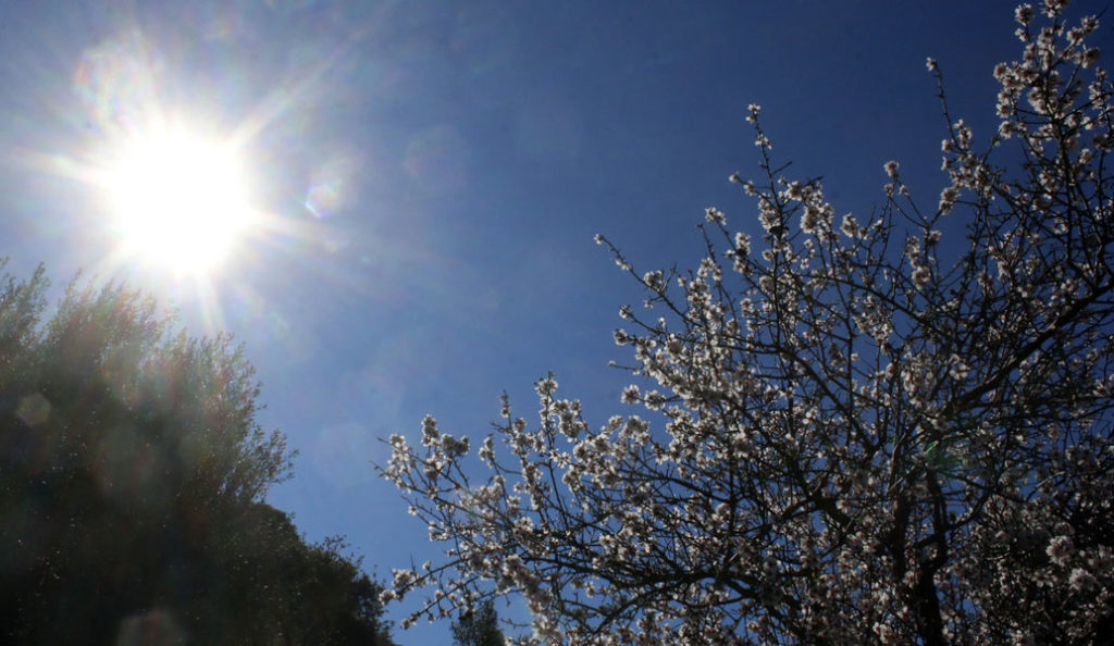 Καιρός: Πώς εξηγείται η καλοκαιρία Νοέμβρη μήνα