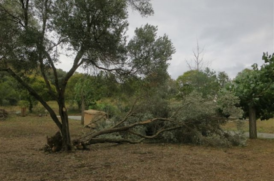 H συγκλονιστική ιστορία πατέρα και γιου που σκοτώθηκαν στη Χαλκιδική