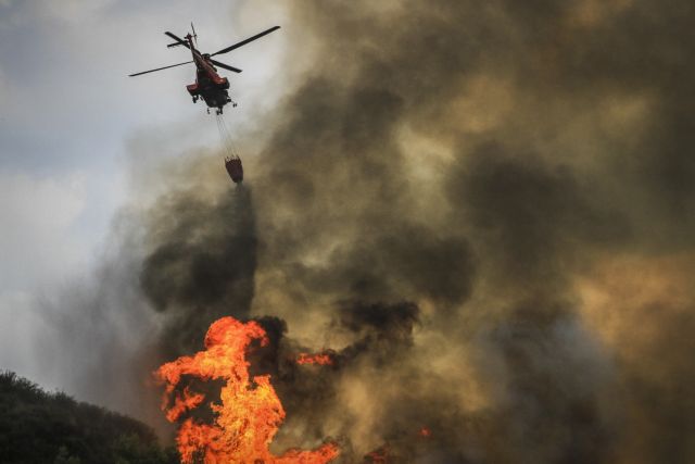 Συναγερμός στην Πυροσβεστική – Μεγάλη φωτιά στο Μαραθώνα