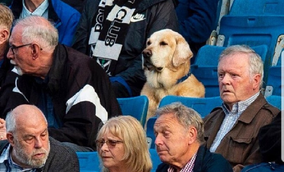 Viral: Σκύλος… χούλιγκαν παρακολουθεί εφτά χρόνια αγώνες της ομάδας του (pic)