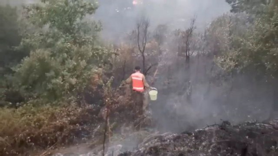 Πορτογαλία : Υπό έλεγχο η πυρκαγιά – Σε επιφυλακή οι πυροσβεστικές δυνάμεις