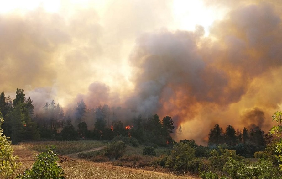 Φωτιά στην Εύβοια – 30 πολίτες επιβιβάστηκαν σε τουριστικό σκάφος – Σε ετοιμότητα το Λιμενικό για τα Βασιλικά