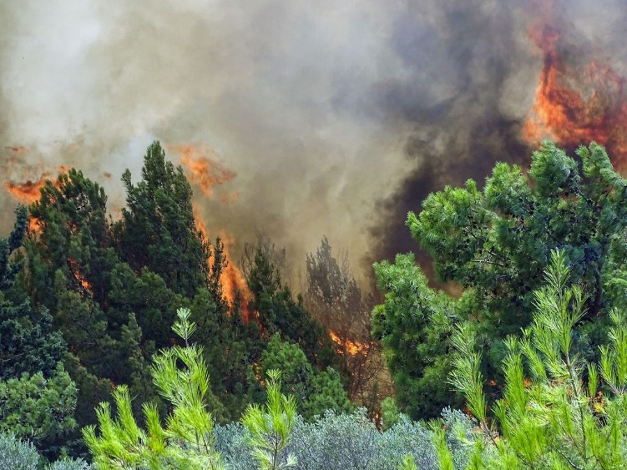 Εμετική ανάρτηση δικηγόρου για τις φωτιές – Παραπέμφθηκε στο Πειθαρχικό του ΔΣΑ