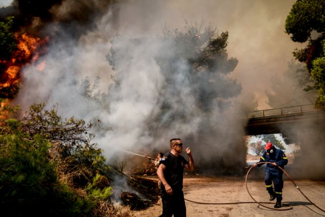 «Προτιμώ να μην έχω να φάω, παρά να τους αφήσω έτσι» – Συγκλονίζουν οι εθελοντές