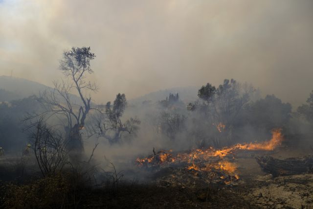 Περίπου 500.000 στρέμματα έχουν γίνει στάχτη – Εκτιμήσεις για εφιαλτικό Αύγουστο