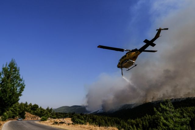 Μαίνεται το πύρινο μέτωπο στα Βίλια – «Το δάσος αυτό είναι η ψυχή μας», λέει ο Αντιπεριφερειάρχης Δυτικής Αττικής