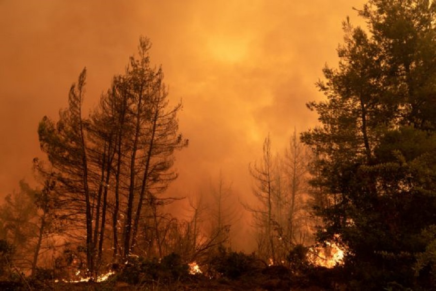 Κάηκαν 20 εκατ. στρέμματα σε 41 χρόνια- Διαχρονική η «μανία» της πυρκαγιάς σε συγκεκριμένες περιοχές