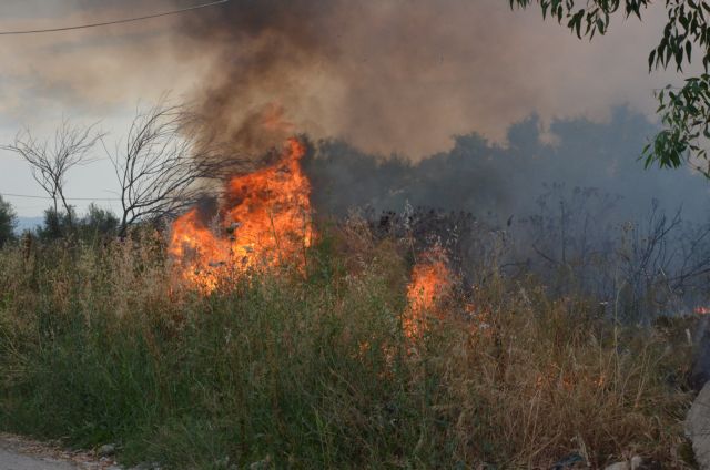 Συναγερμός στην πυροσβεστική – Φωτιές σε Κεφαλονιά και Θάσο