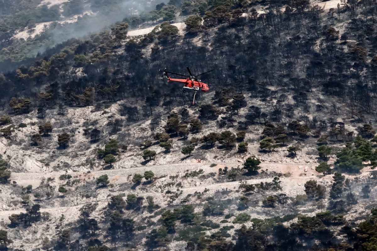 Όλη η Ελλάδα ένα… πύρινο μέτωπο για την άσκηση «Δια Πυρός 2024» – Ετοιμότητα για τις φωτιές του καλοκαιριού