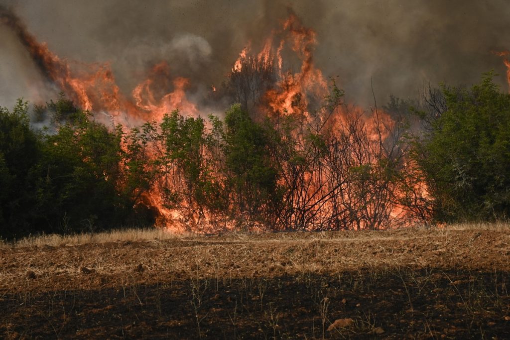 Φωτιά τώρα στο Ρέθυμνο – Ήχησε το 112