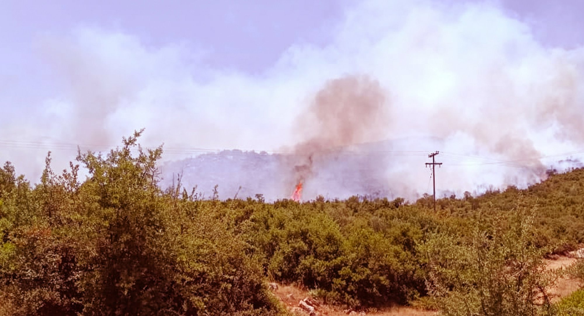 Νέα φωτιά στον Μελισσουργό Θεσσαλονίκης