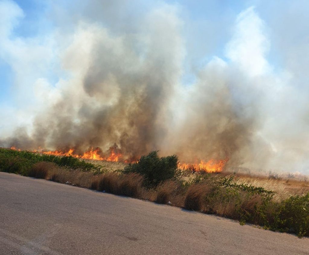 Πυρκαγιά στο Μαρκόπουλο – Επιχειρούν αεροσκάφη και ελικόπτερα