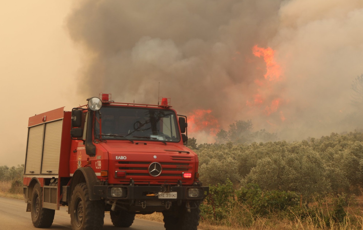 Πυρκαγιά σε εξέλιξη στη Μεσσηνία – Επιχειρούν οκτώ οχήματα και δύο αεροσκάφη