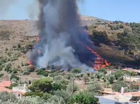 Συναγερμός για φωτιά στην Κερατέα, καίει κοντά σε σπίτια – Μήνυμα για εκκένωση από το «112»