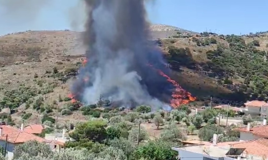 Συναγερμός για φωτιά στην Κερατέα, καίει κοντά σε σπίτια – Μήνυμα για εκκένωση από το «112»