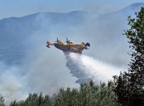 Σχεδόν 30 φωτιές το τελευταίο 24ωρο στην Ελλάδα – Δύο συλλήψεις για θερμές εργασίες