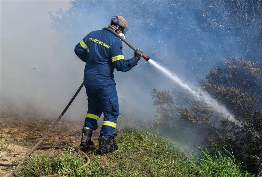 Ναυπακτία: Φωτιά σε δασική έκταση στην περιοχή της Τερψιθέας