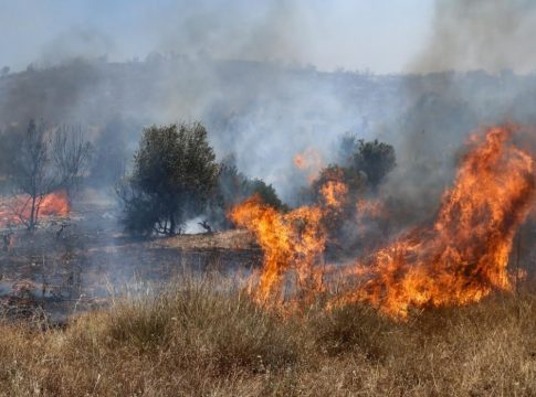 Ασπρόπυργος: Φωτιά σε χαμηλή βλάστηση στην περιοχή Ρουπάκι