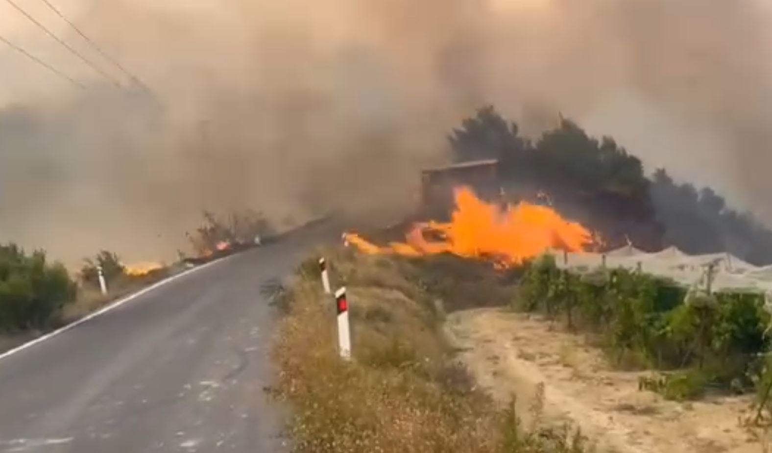 Φωτιά στην Κορινθία: Ανεξέλεγκτο το πύρινο μέτωπο – Ήχησε το 112