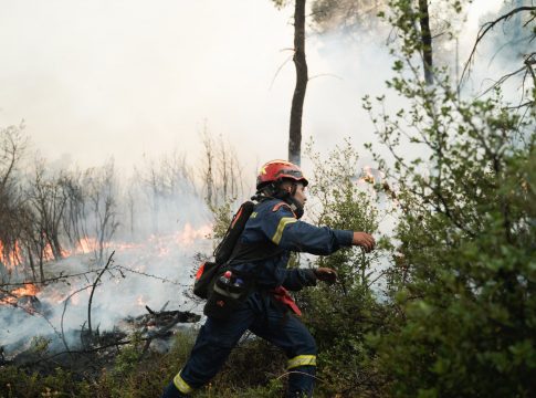Φωτιά στον Διόνυσο – Επιχειρούν επίγειες δυνάμεις της Πυροσβεστικής