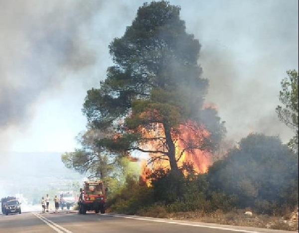 Συναγερμός για φωτιά στο Σοφικό Κορινθίας: Επιχειρούν 10 εναέρια μέσα – Ήχησε το 112