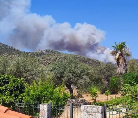 Μαίνεται το πύρινο μέτωπο στο Σοφικό Κορινθίας – Στο νοσοκομείο με εγκαύματα πυροσβέστης