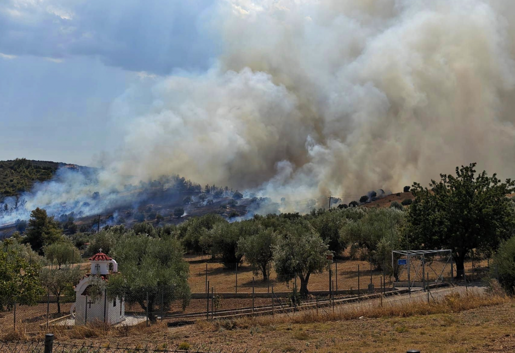 Χωρίς ενεργό μέτωπο η φωτιά στον Ωρωπό – Στο νοσοκομείο εθελοντής πυροσβέστης