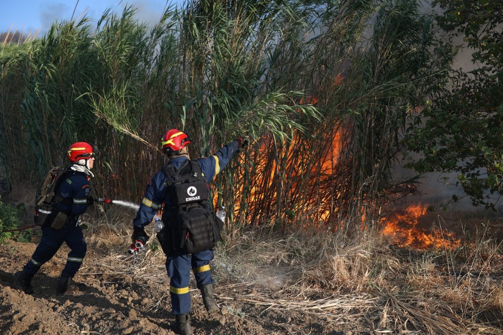 Φωτιά τώρα στον Μαραθώνα – Σηκώθηκαν και εναέρια μέσα