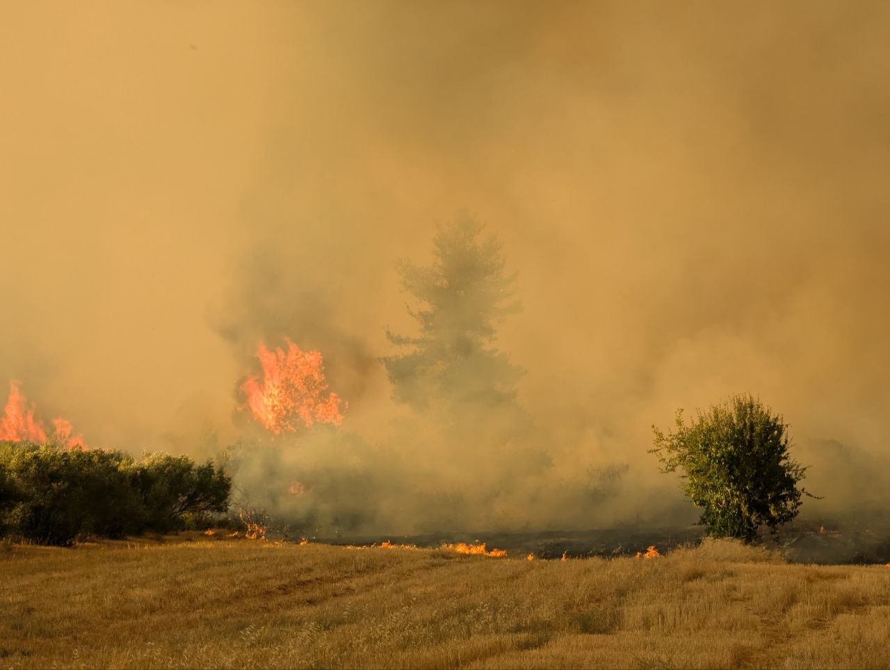 Ο χάρτης πρόβλεψης κινδύνου πυρκαγιάς για σήμερα