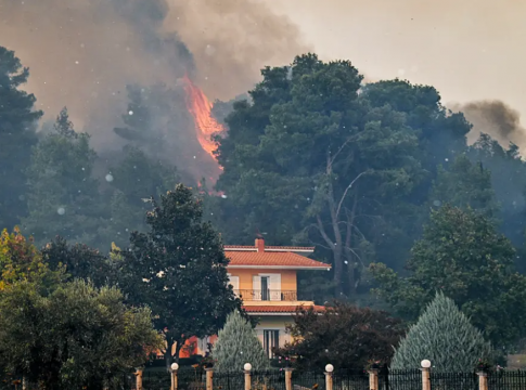 Ανεξέλεγκτη η φωτιά στο Γεράκι Αμαλιάδας – Δύο νέα πύρινα μέτωπα στην περιοχή – Έκτακτη σύσκεψη Κικίλια