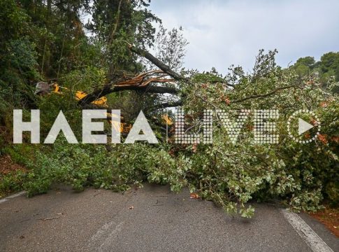 Ηλεία: Ανεμοστρόβιλος ξερίζωσε δέντρα και προκάλεσε ζημιές σε σπίτια