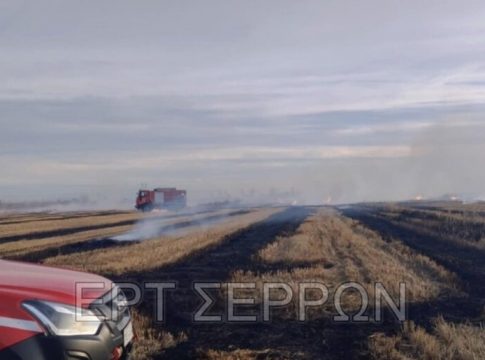 Σέρρες: Μεγάλη κινητοποίηση για φωτιά σε χωράφια – Τέσσερις προσαγωγές